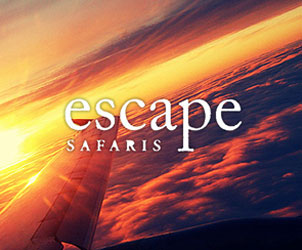 Escape Tours And Travel